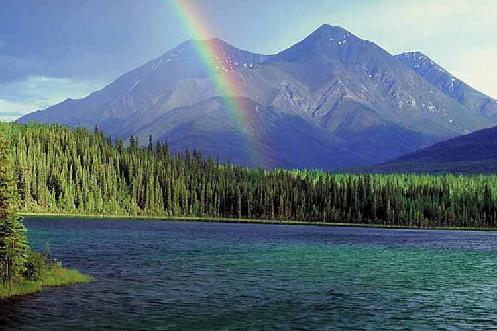 forest, blue lake, rainbow and mountain